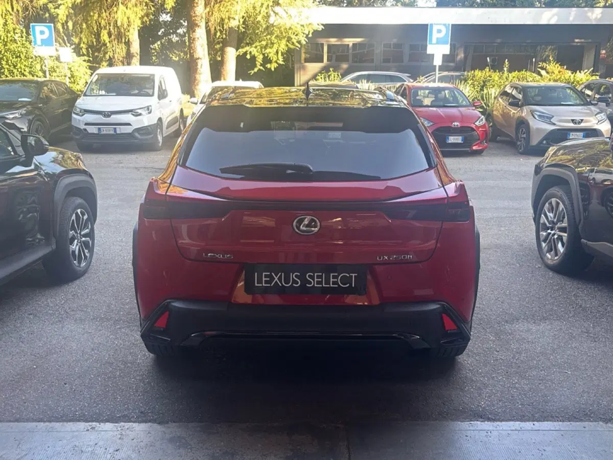 Lexus UX usata a Bologna (4)
