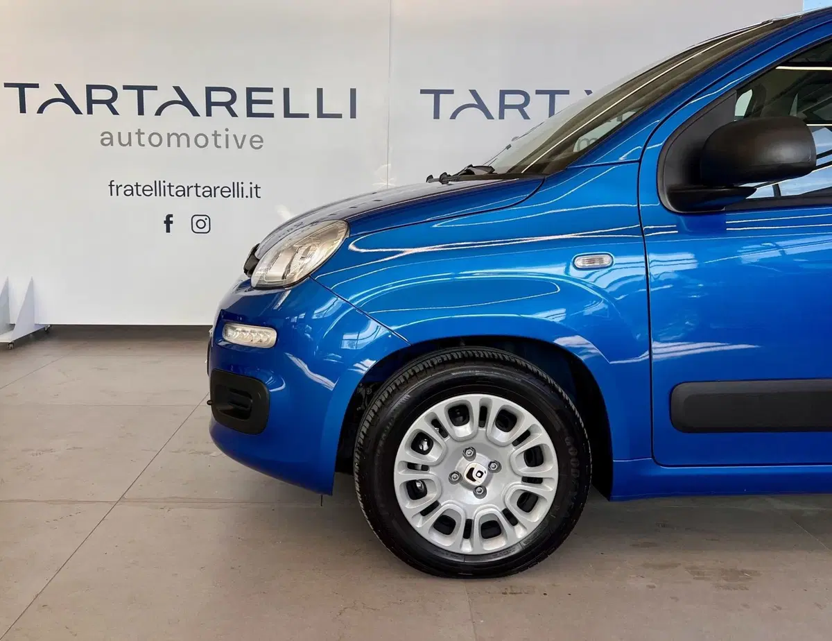 Fiat Panda Cross usata a Bari (4)