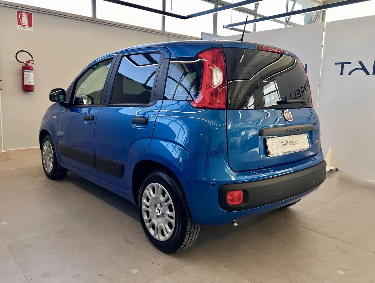 Fiat Panda Cross usata a Bari (5)