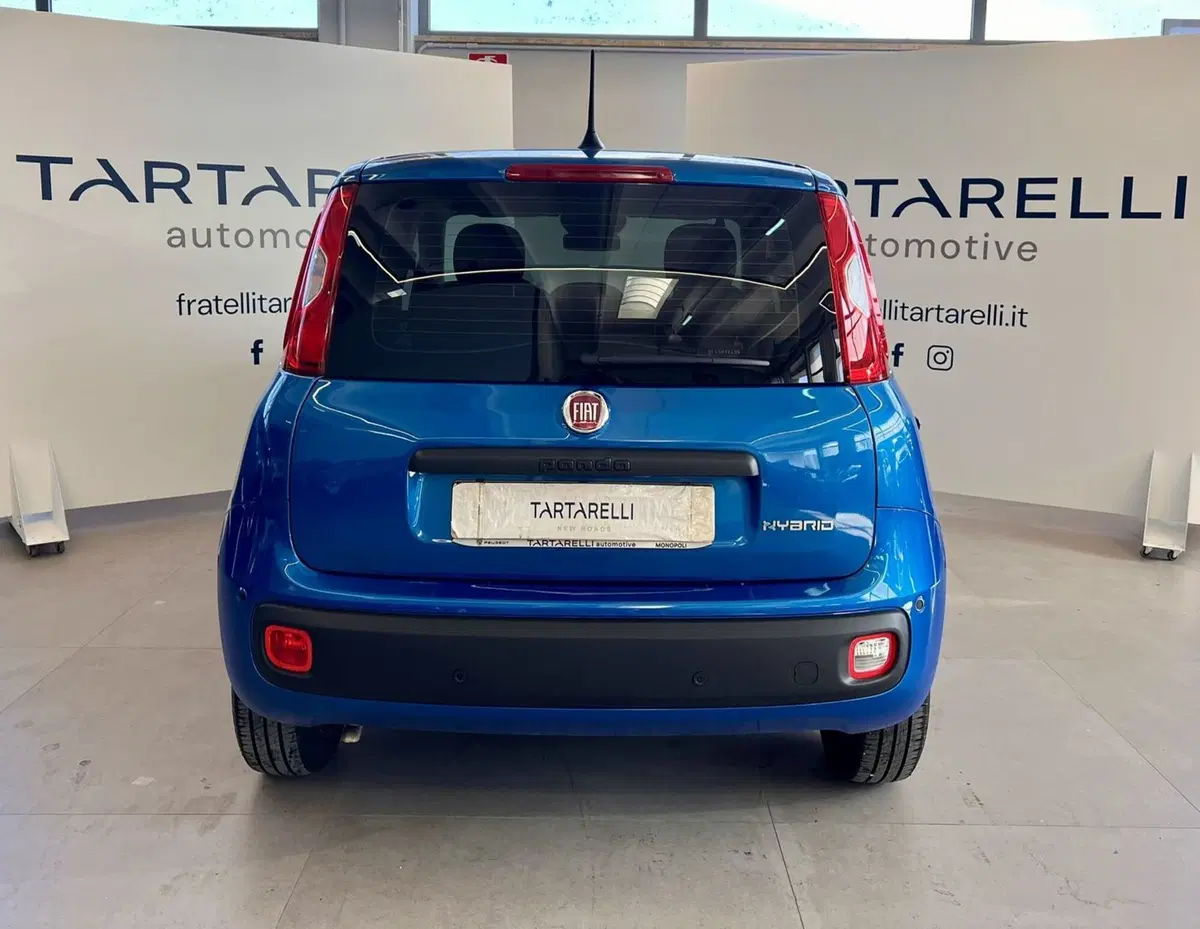 Fiat Panda Cross usata a Bari (6)