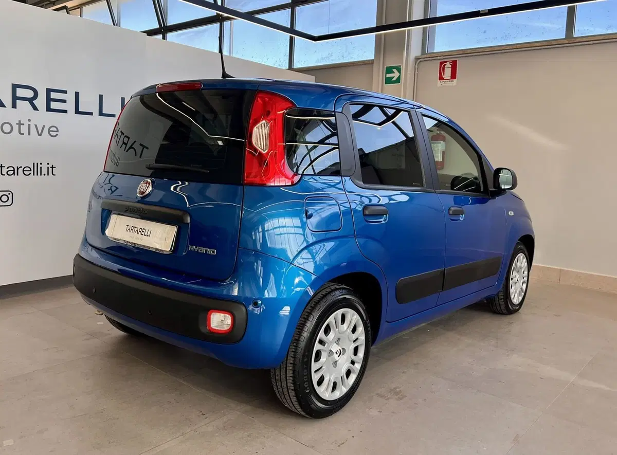 Fiat Panda Cross usata a Bari (7)