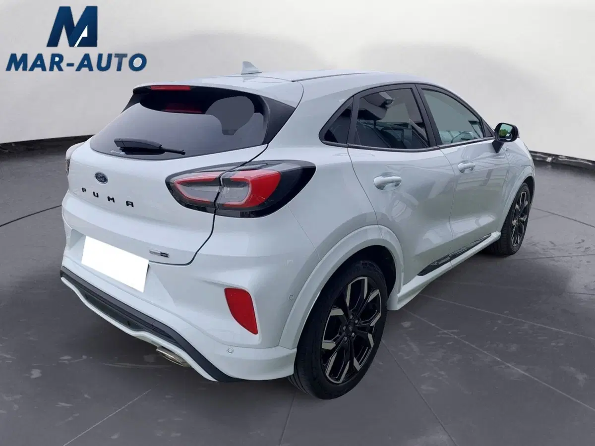 Ford Puma usata a Treviso (3)