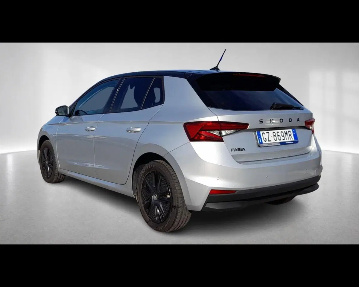 Skoda Fabia usata a Ravenna (2)