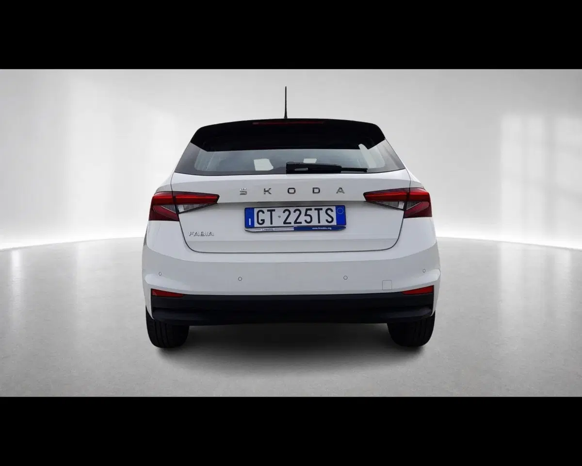 Skoda Fabia usata a Ravenna (4)