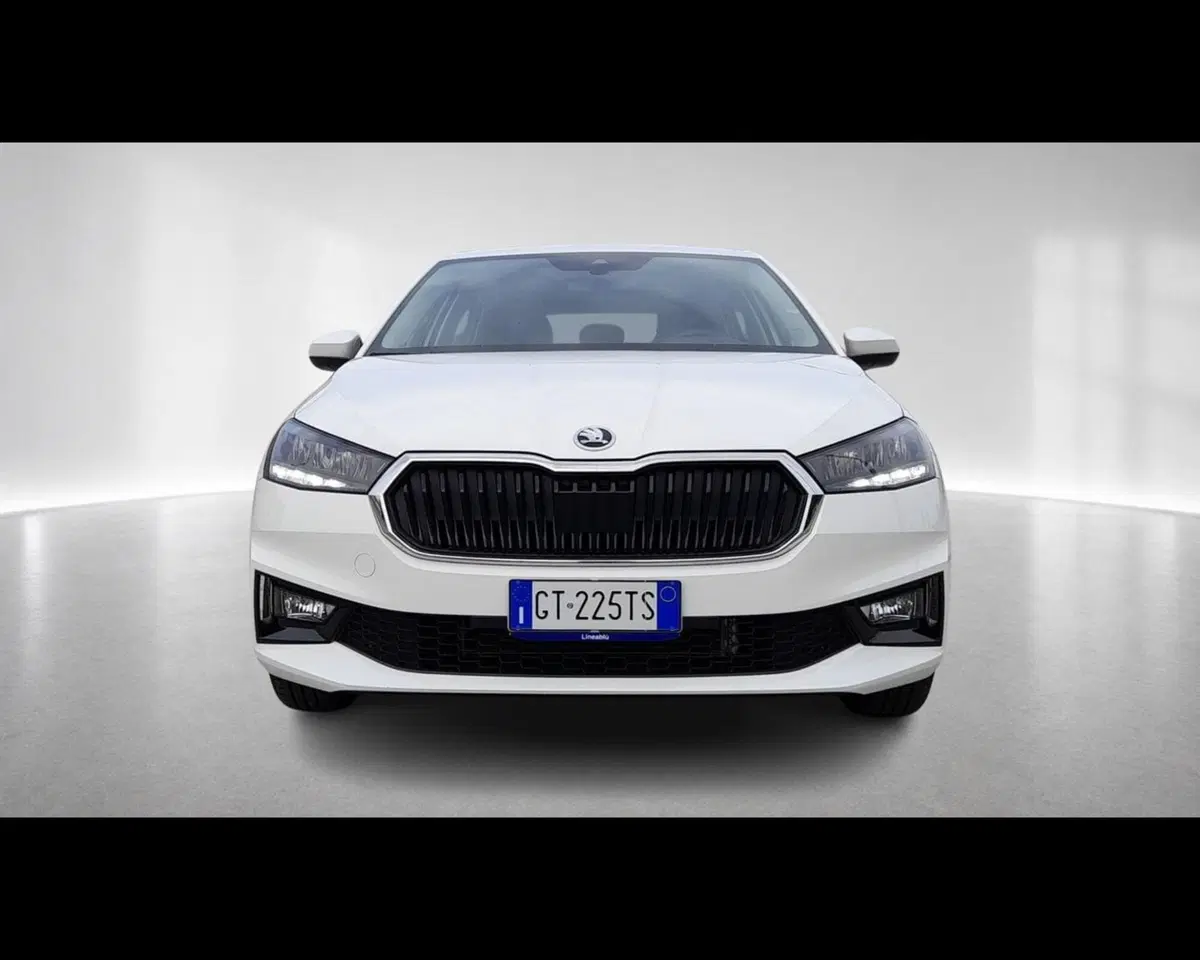 Skoda Fabia usata a Ravenna (5)