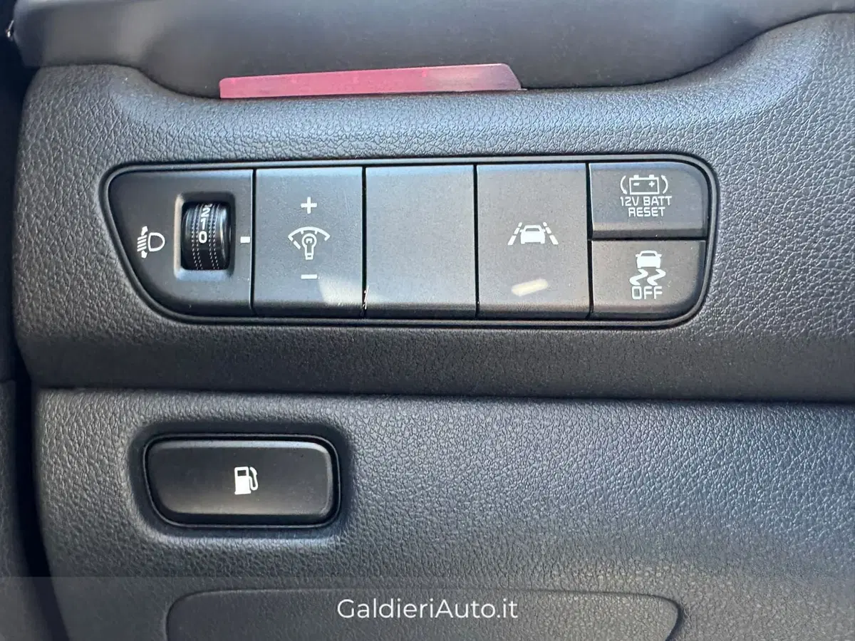 Kia Niro usata a Salerno (17)