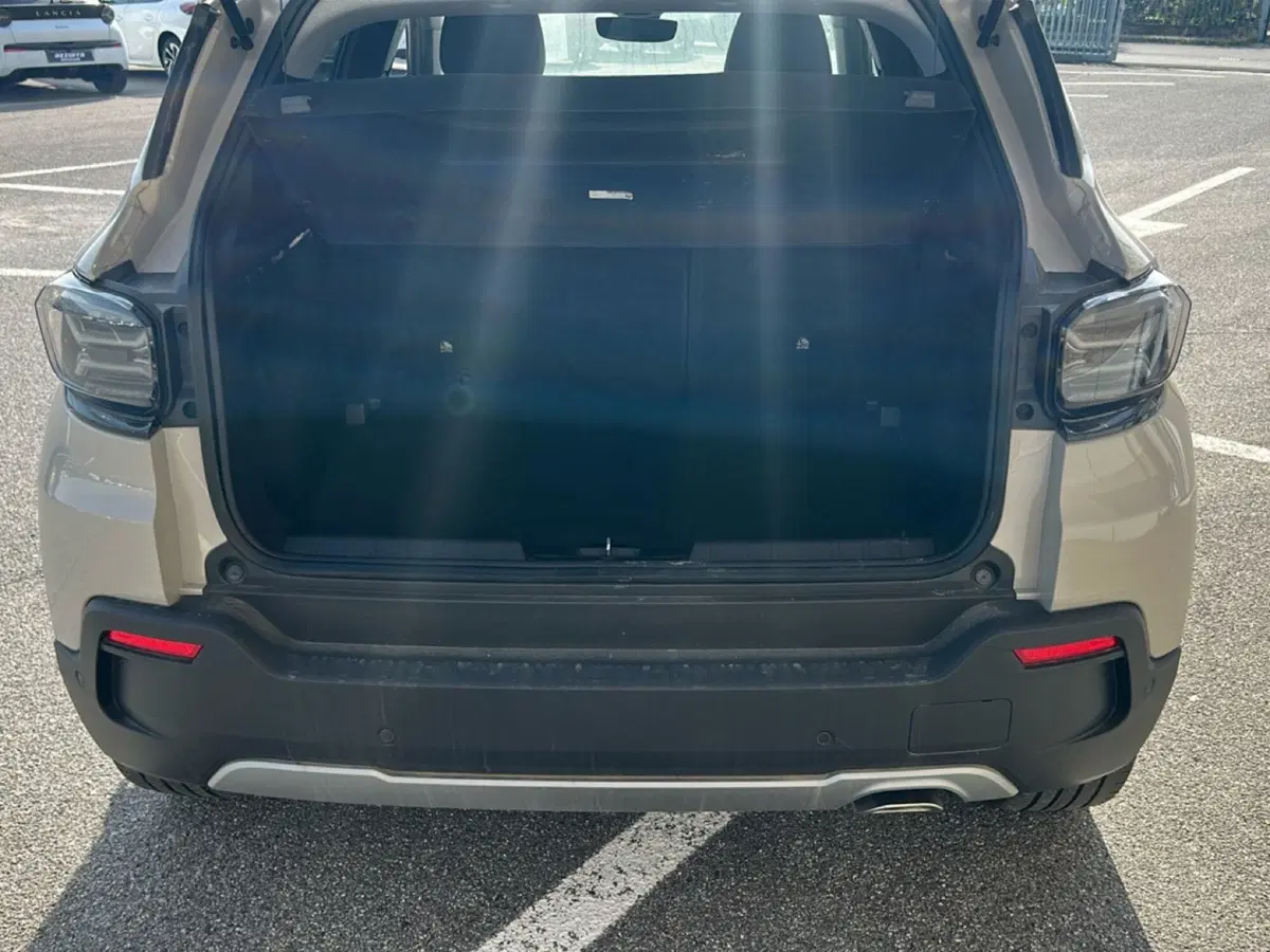 Jeep Avenger usata a Bergamo (9)