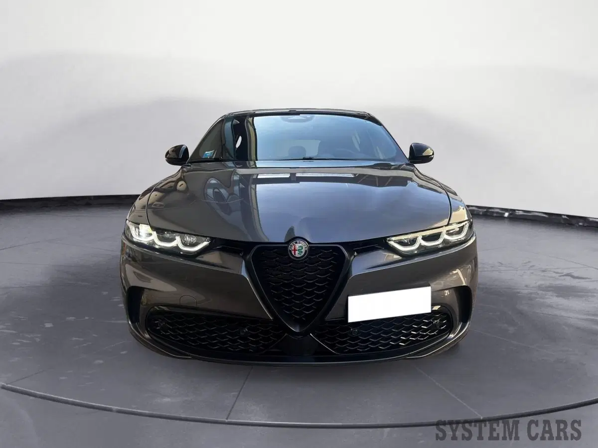 Alfa Romeo Tonale usata a Monza e Brianza (2)