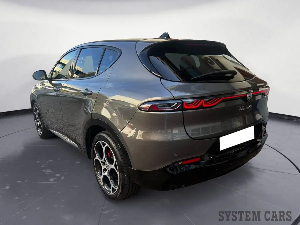 Alfa Romeo Tonale usata a Monza e Brianza (7)