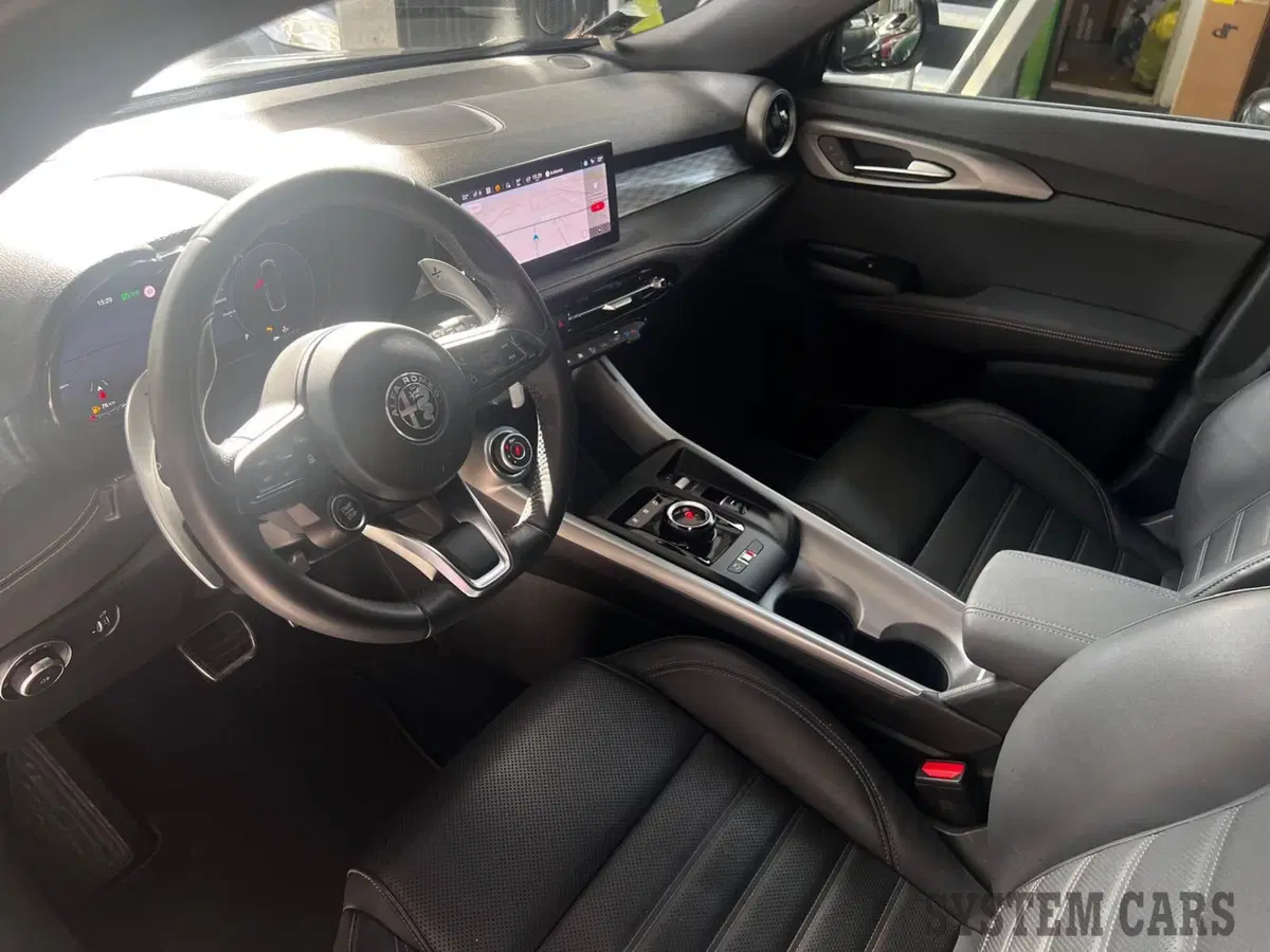 Alfa Romeo Tonale usata a Monza e Brianza (8)