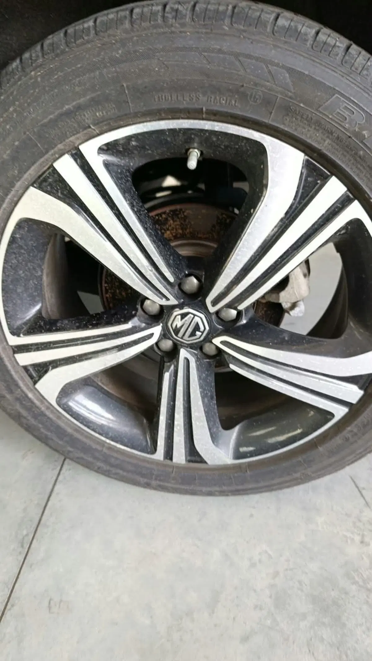 Mg ZS usata a Savona (15)