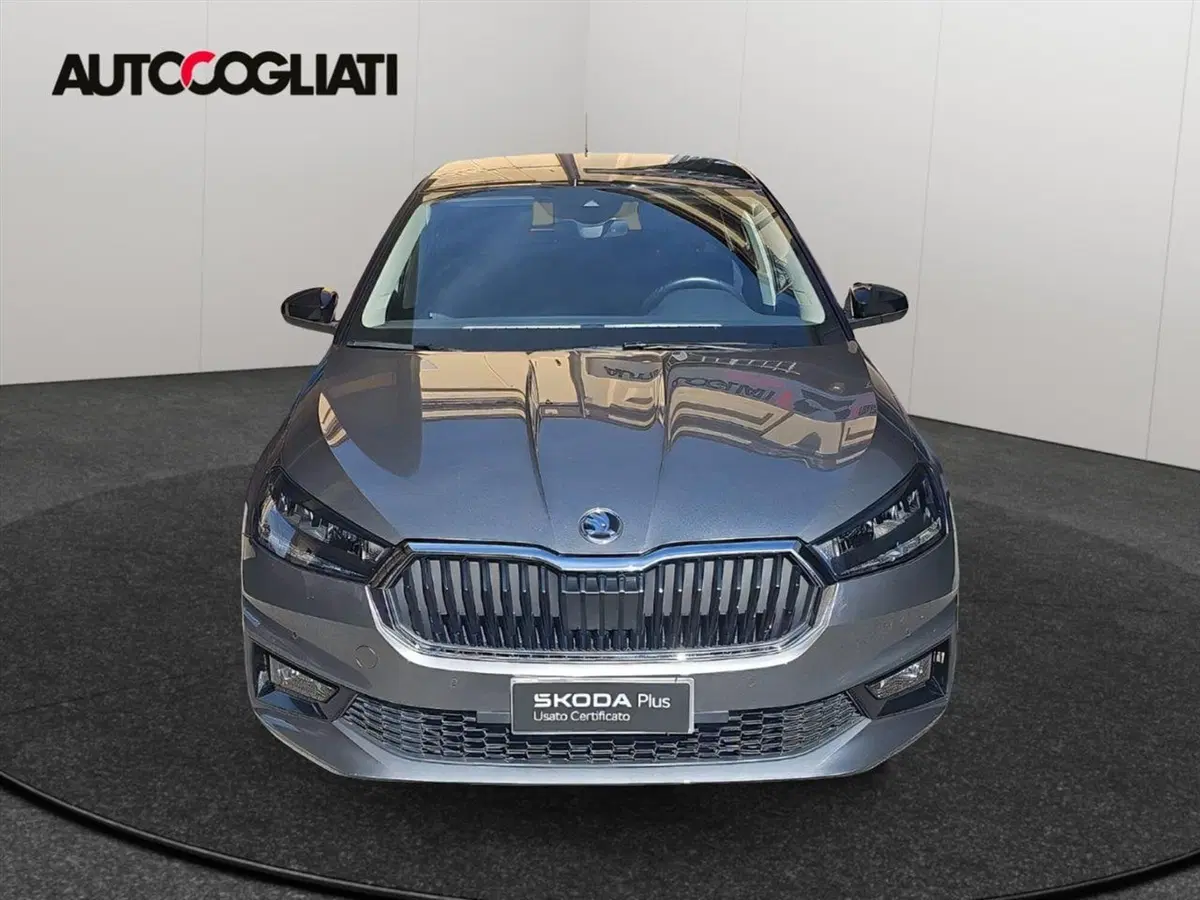 Skoda Fabia usata a Lecco (2)