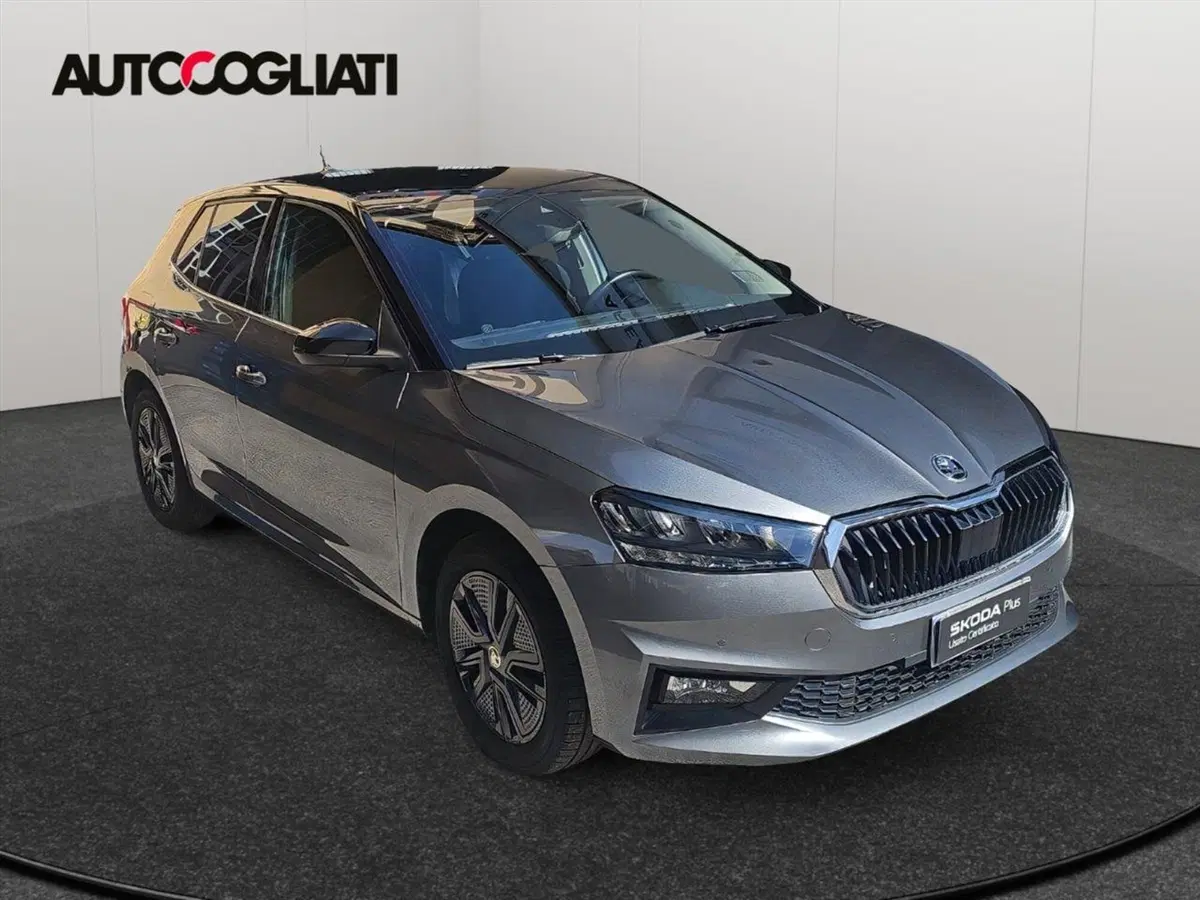 Skoda Fabia usata a Lecco (3)