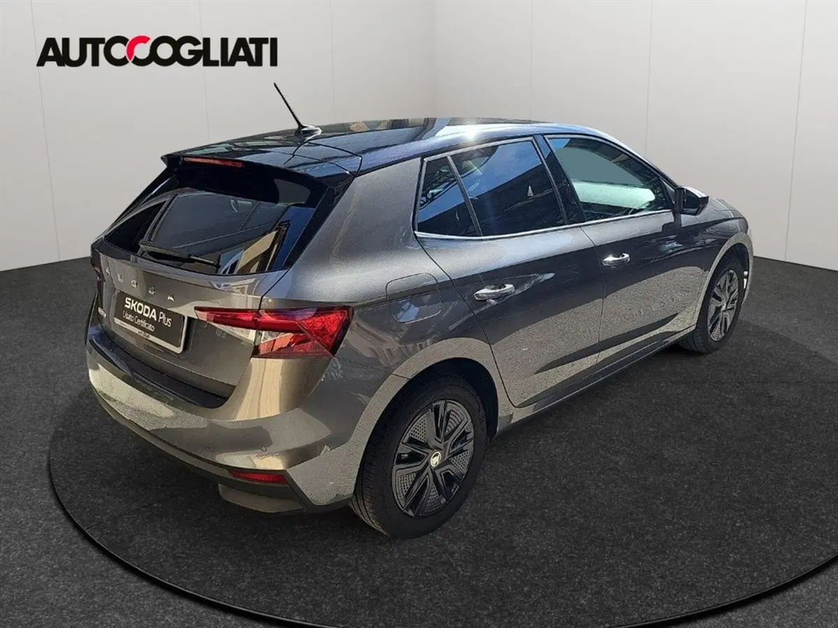 Skoda Fabia usata a Lecco (5)