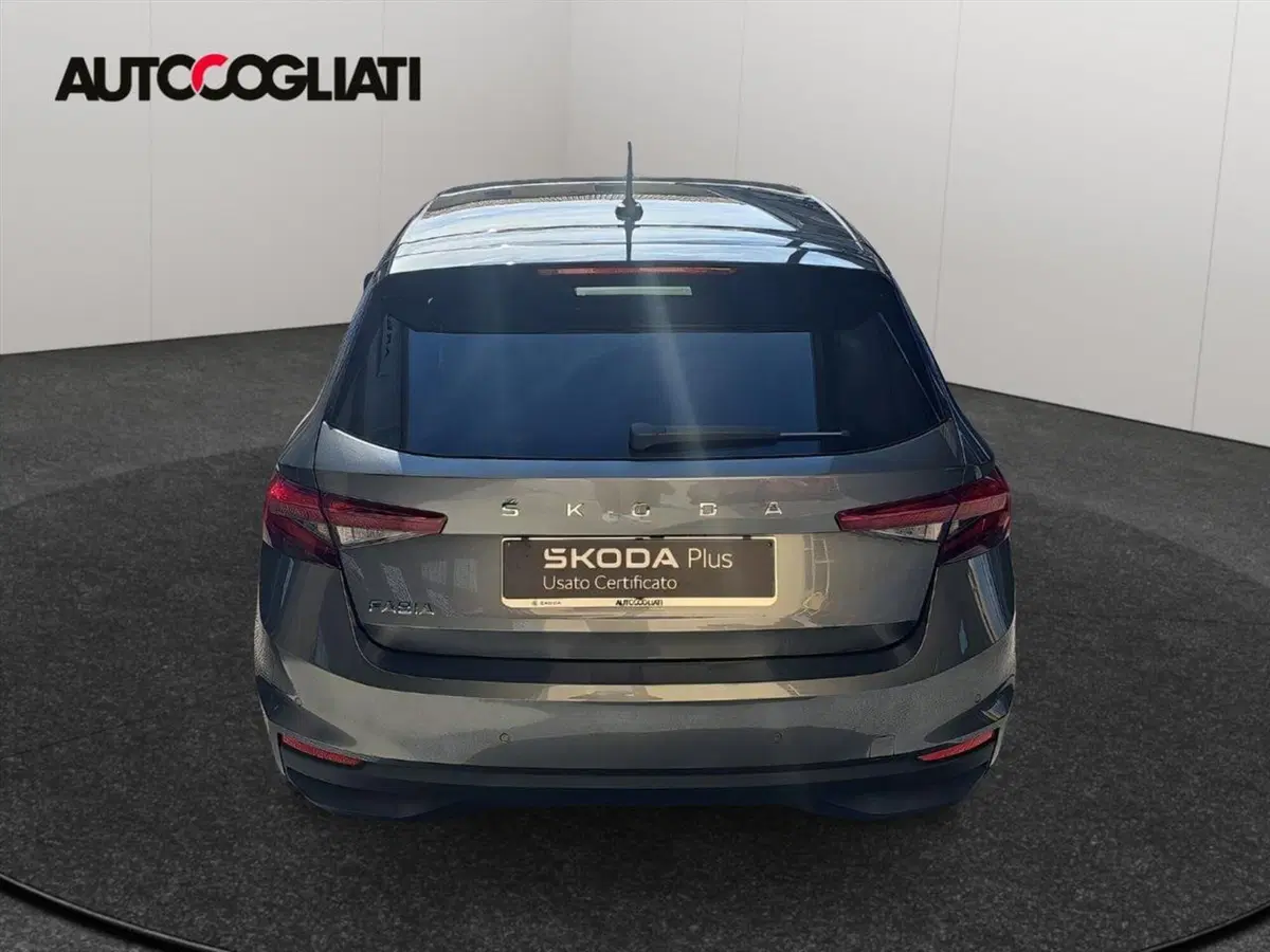 Skoda Fabia usata a Lecco (6)
