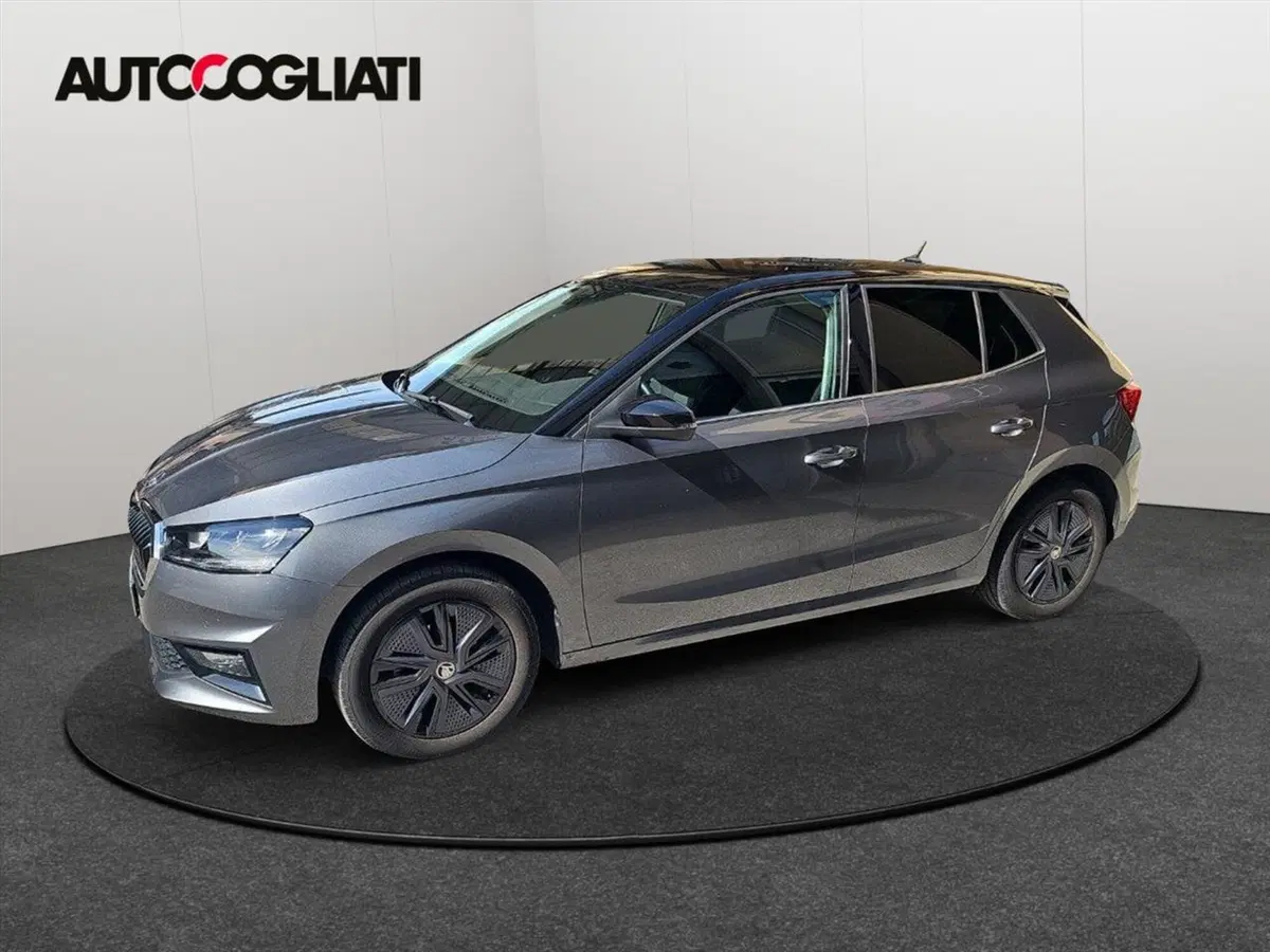 Skoda Fabia usata a Lecco (7)