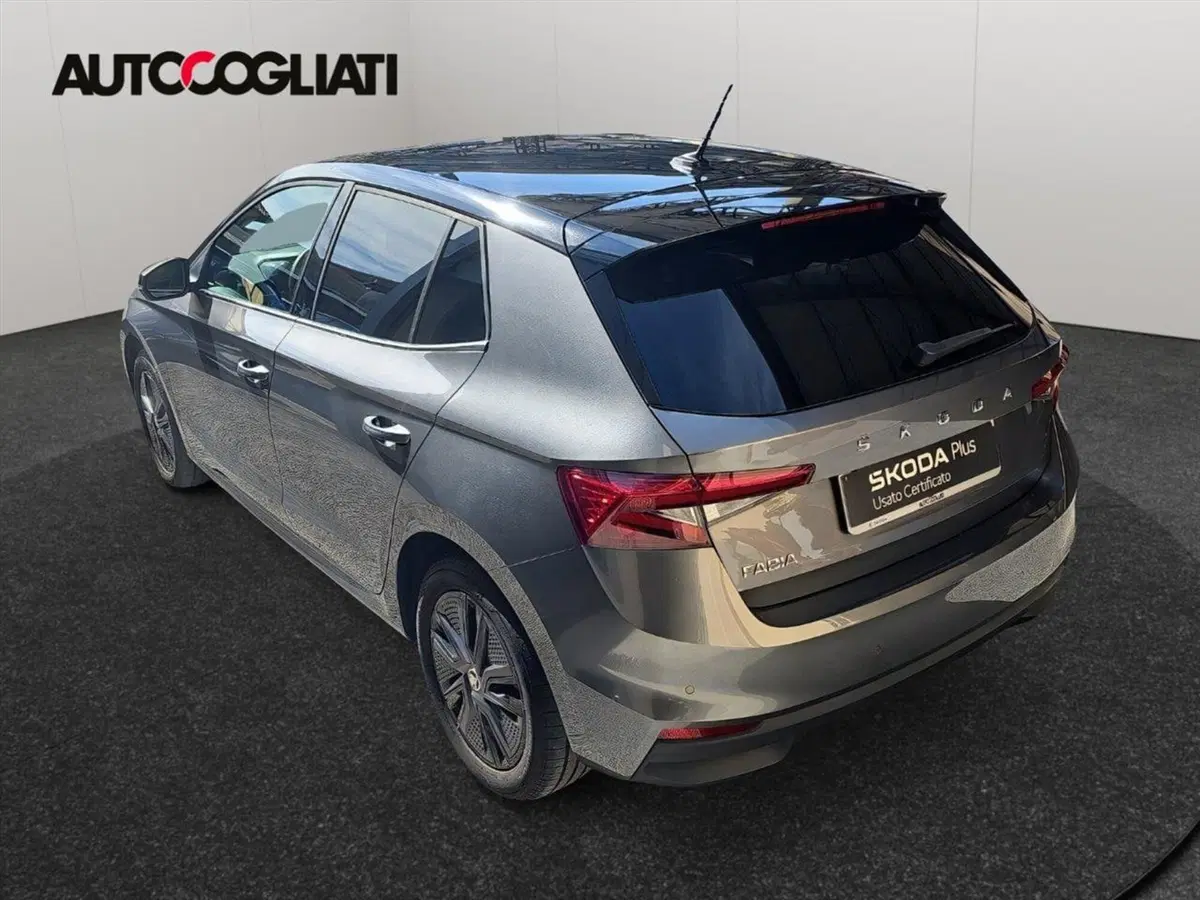 Skoda Fabia usata a Lecco (8)