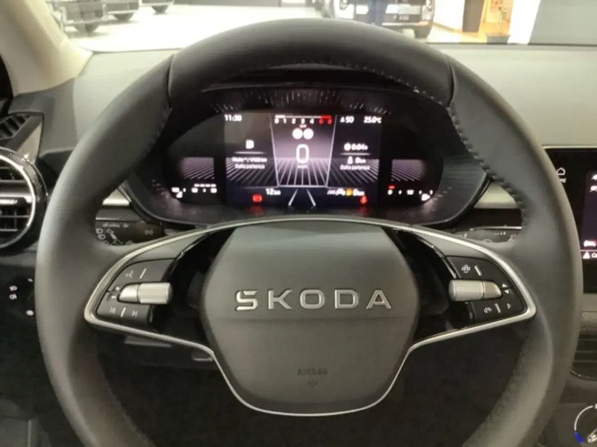 Skoda Fabia nuova a Catania (18)