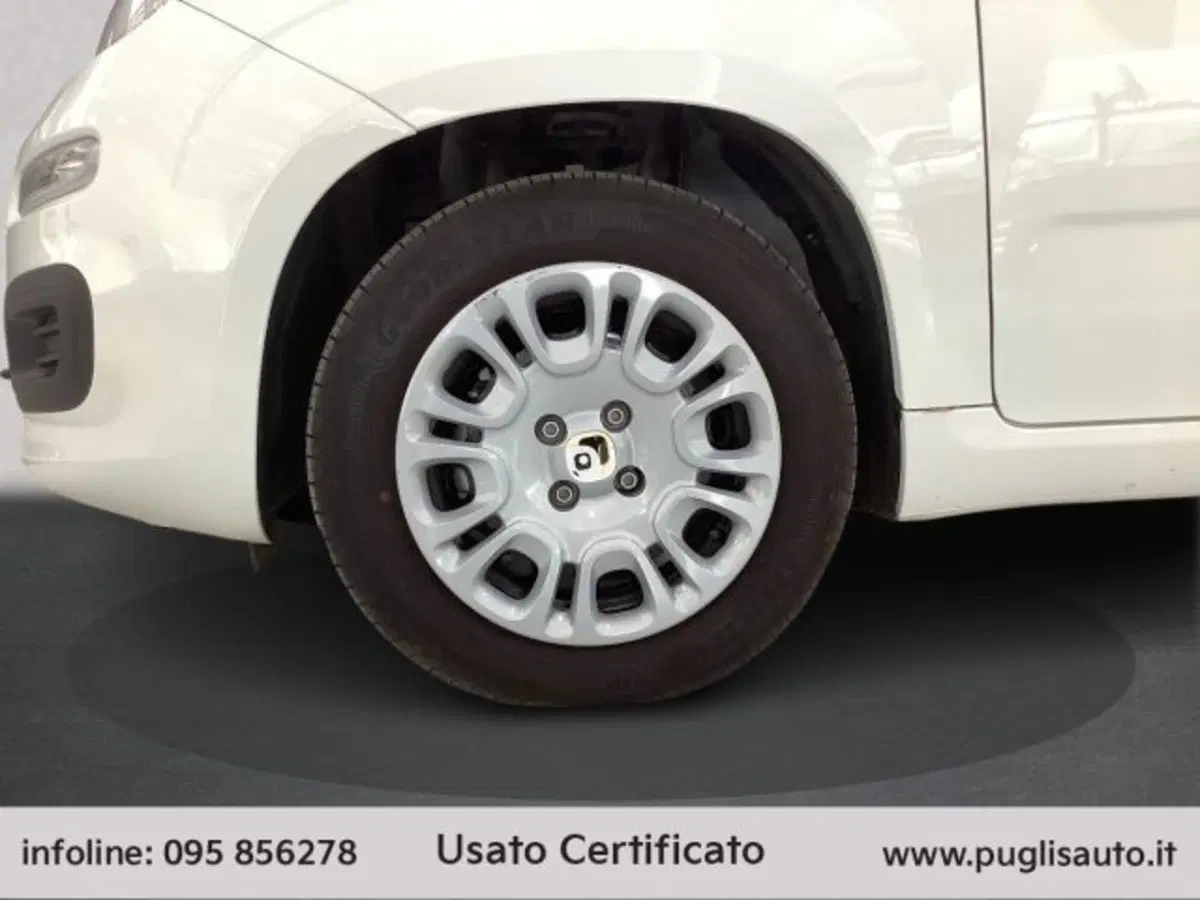 Fiat Pandina usata a Catania (14)