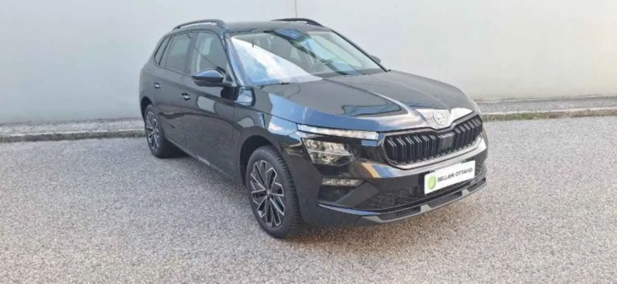 Skoda Kamiq usata a Belluno