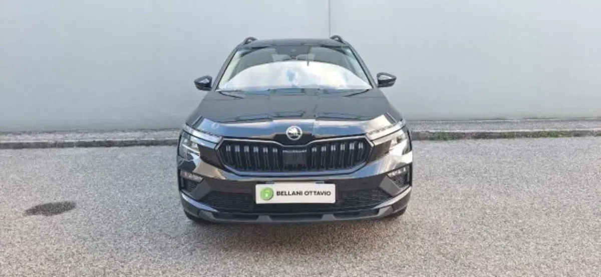 Skoda Kamiq usata a Belluno (2)