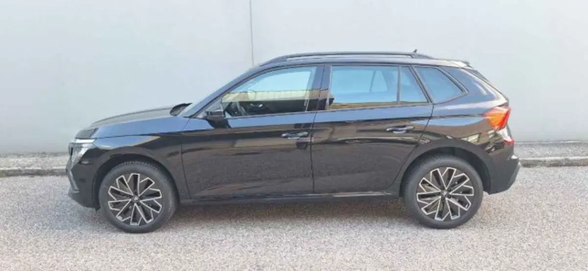 Skoda Kamiq usata a Belluno (4)