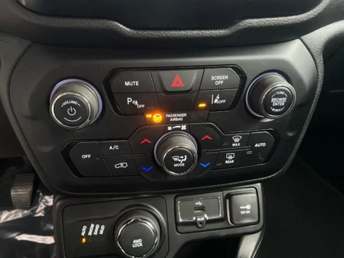 Jeep Renegade usata a Cuneo (15)
