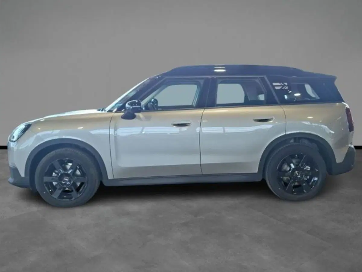 MINI Mini Countryman usata a Verona (3)