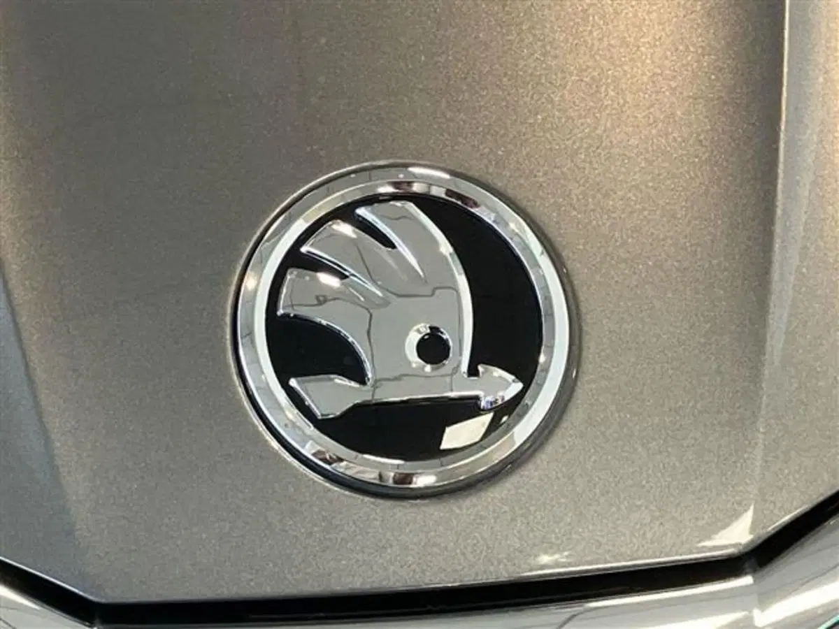 Skoda Fabia usata a Como (20)