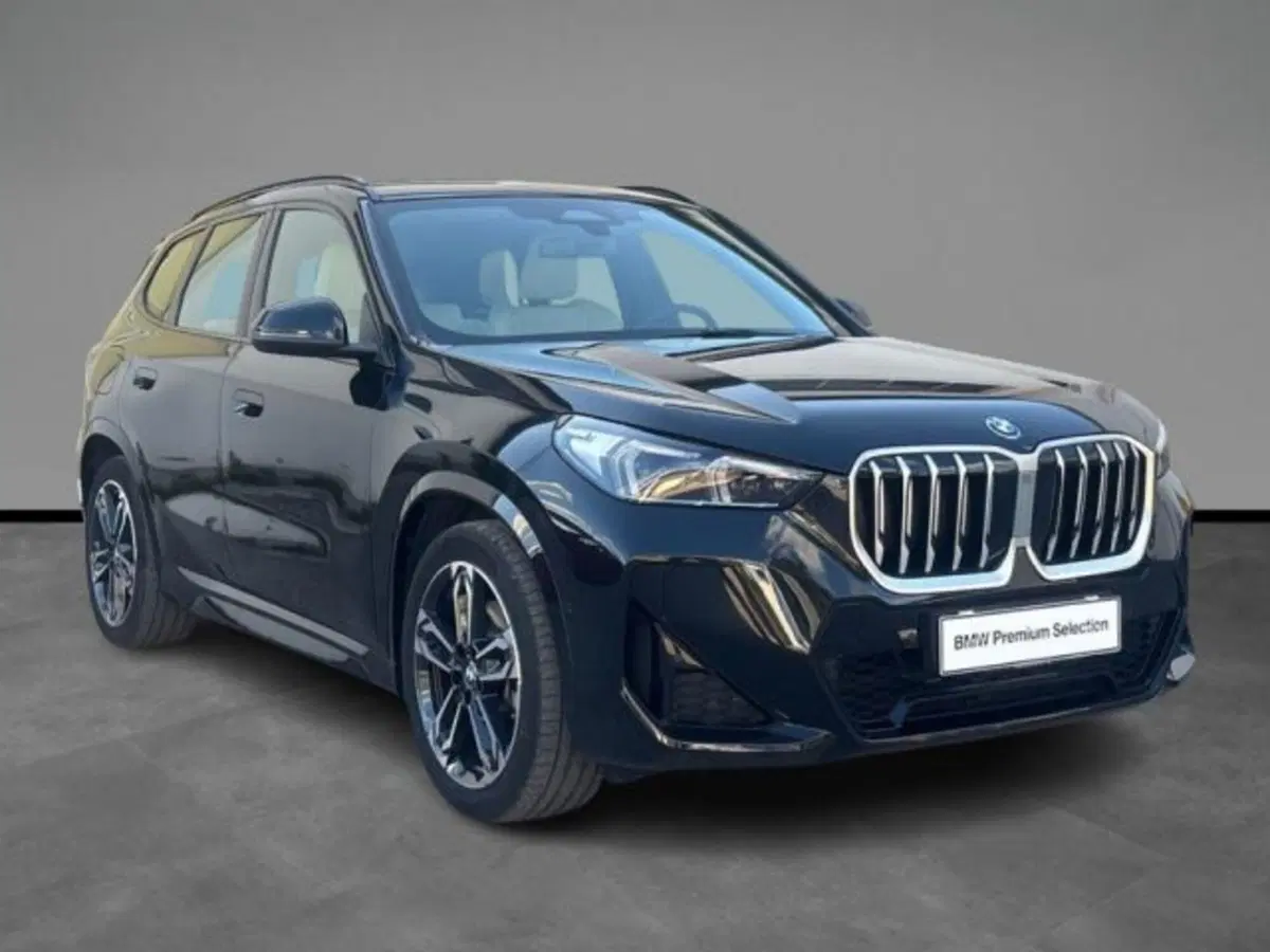 BMW X1 usata a Lecce (6)