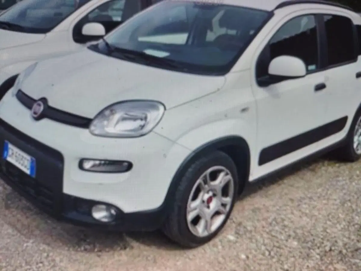 Fiat Panda usata a Forlì-Cesena