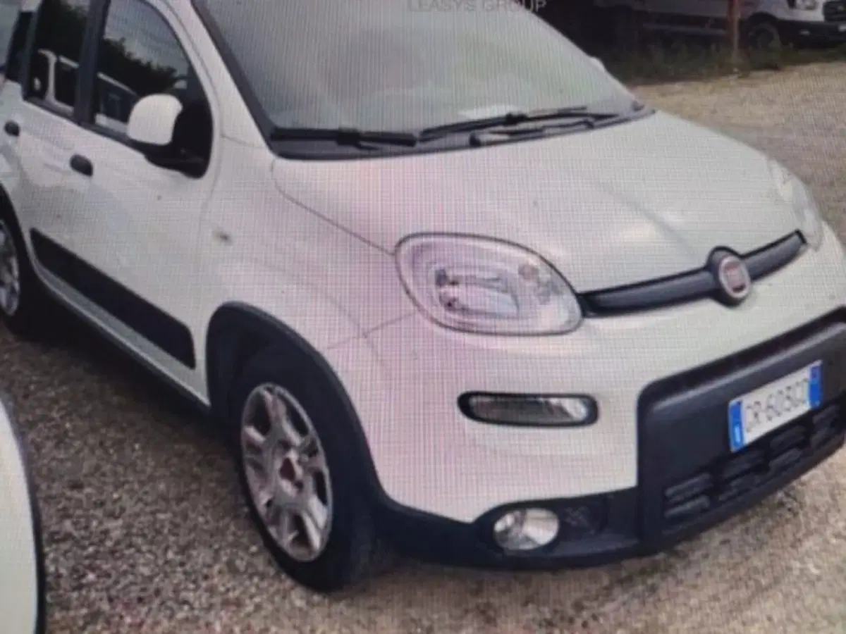 Fiat Panda usata a Forlì-Cesena (2)