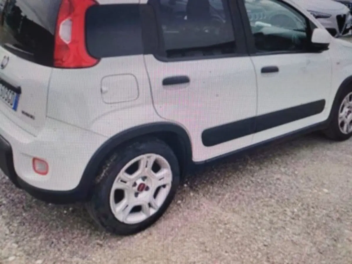 Fiat Panda usata a Forlì-Cesena (3)