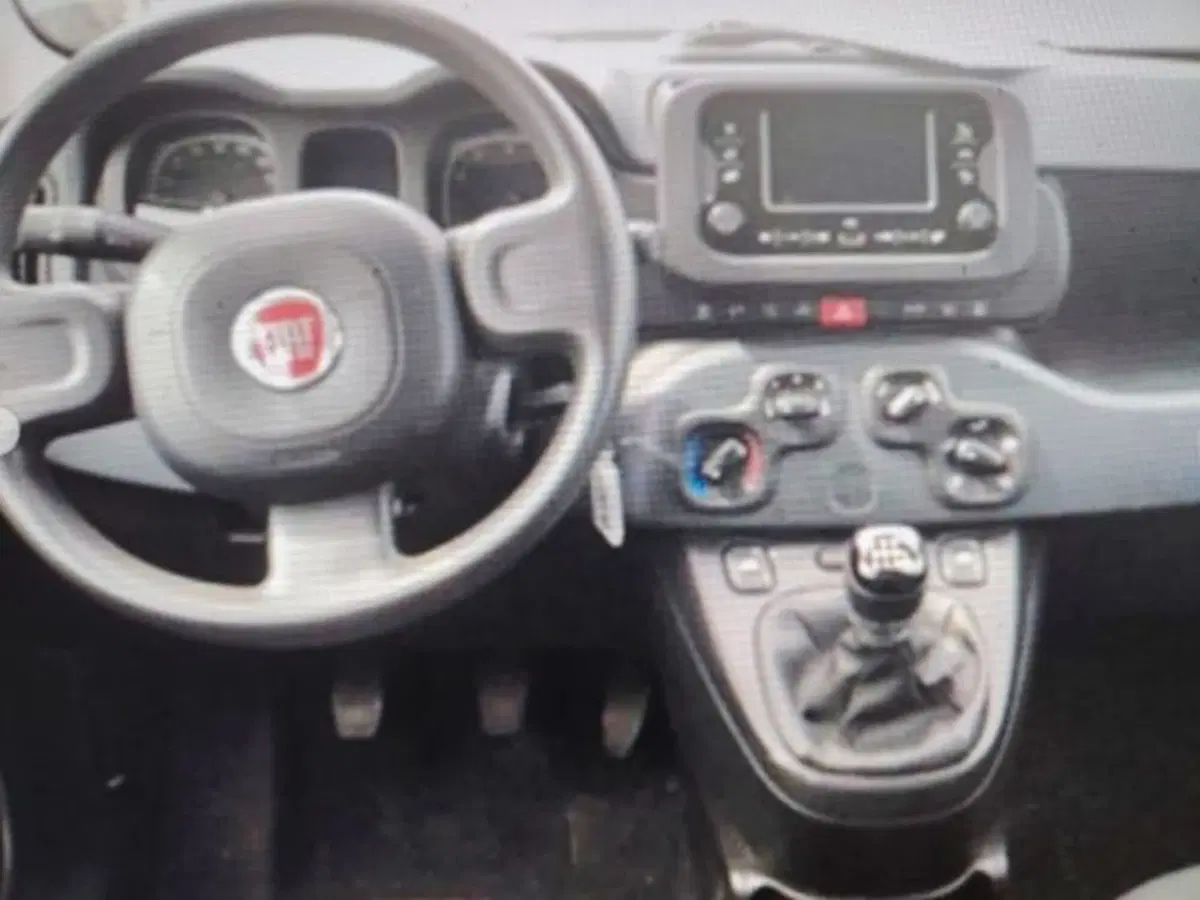 Fiat Panda usata a Forlì-Cesena (4)