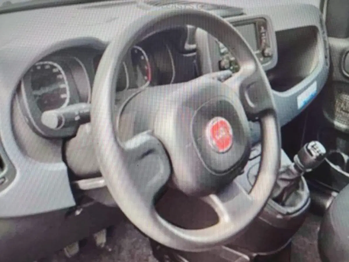 Fiat Panda usata a Forlì-Cesena (5)