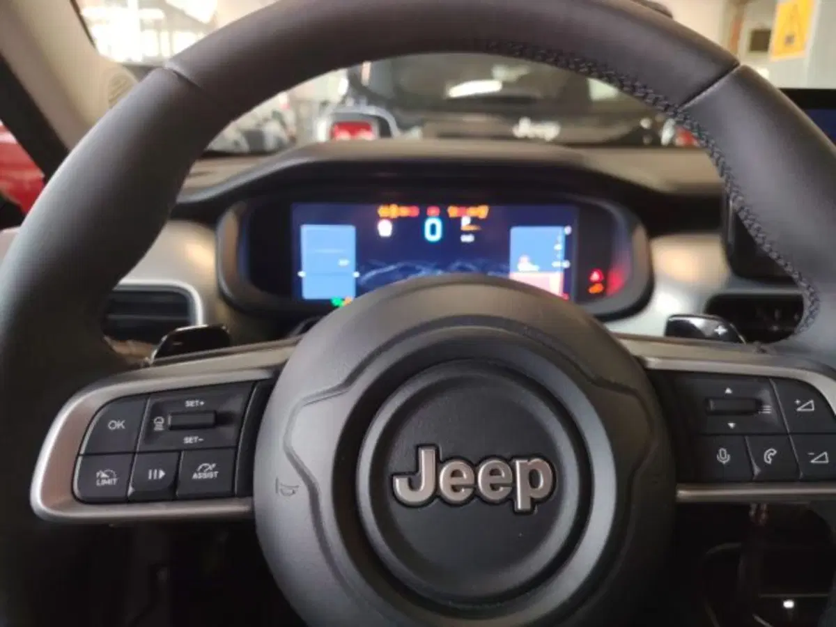 Jeep Avenger usata a Forlì-Cesena (18)