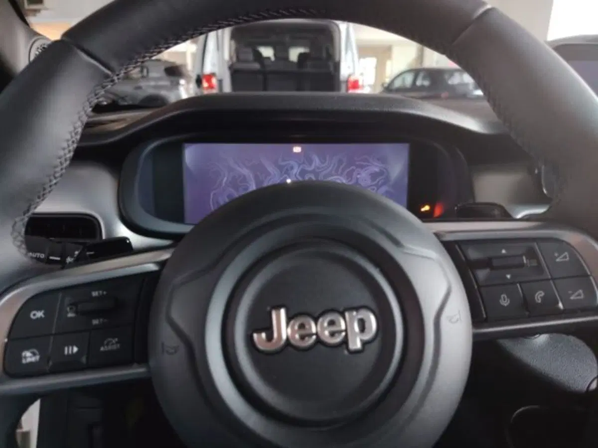 Jeep Avenger usata a Forlì-Cesena (20)