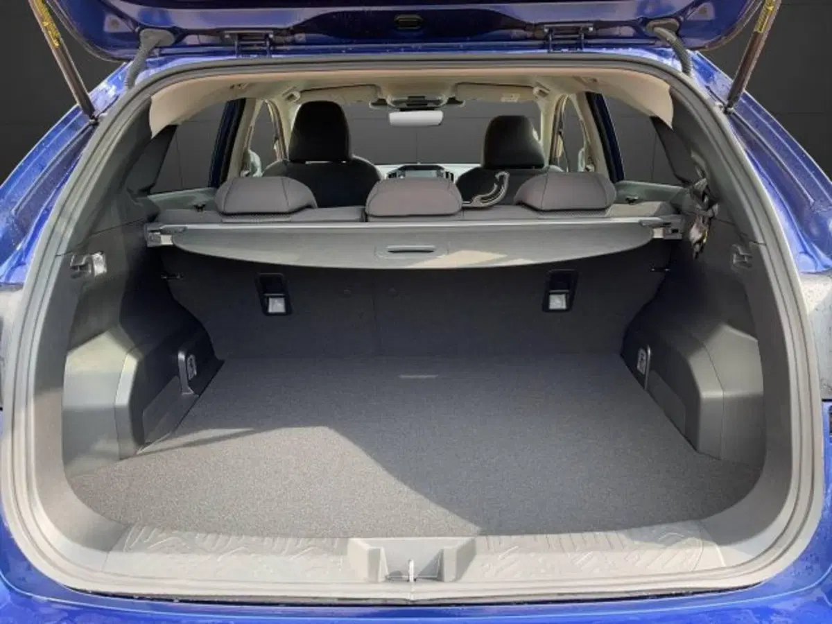 Subaru Crosstrek nuova a Novara (5)