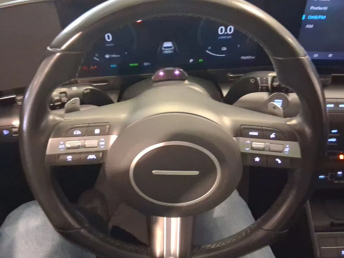 Hyundai Kona usata a Genova (14)
