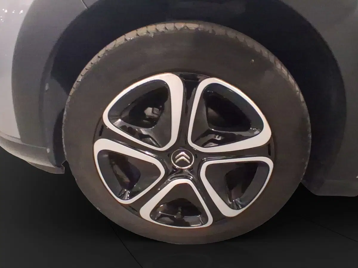 Citroen C3 usata a Genova (17)