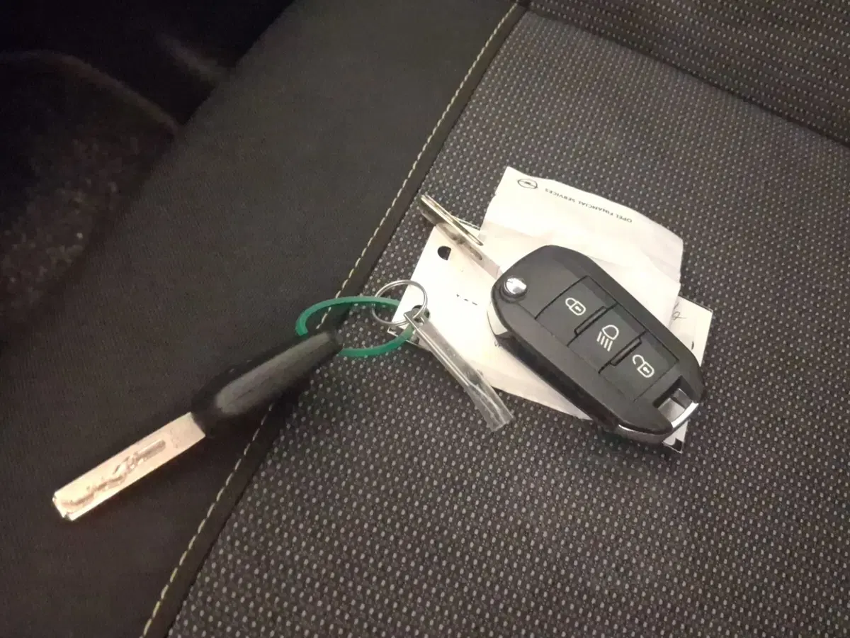 Citroen C3 usata a Genova (20)