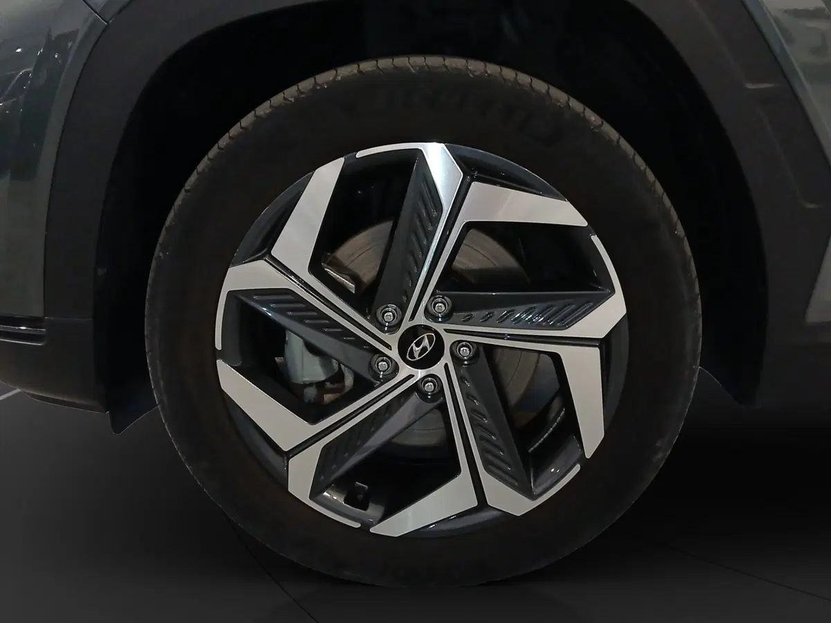 Hyundai Tucson usata a Genova (18)
