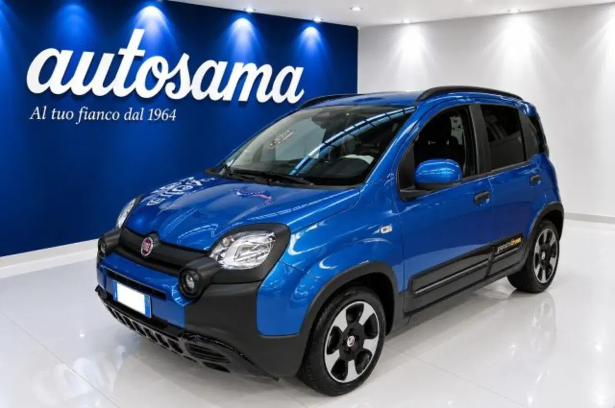 Fiat Panda Cross usata a Milano