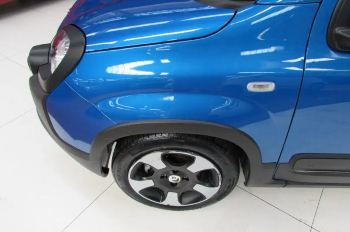 Fiat Panda Cross usata a Milano (6)