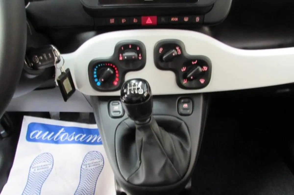 Fiat Panda Cross usata a Milano (11)