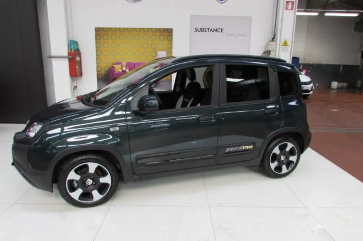 Fiat Panda Cross usata a Milano (5)
