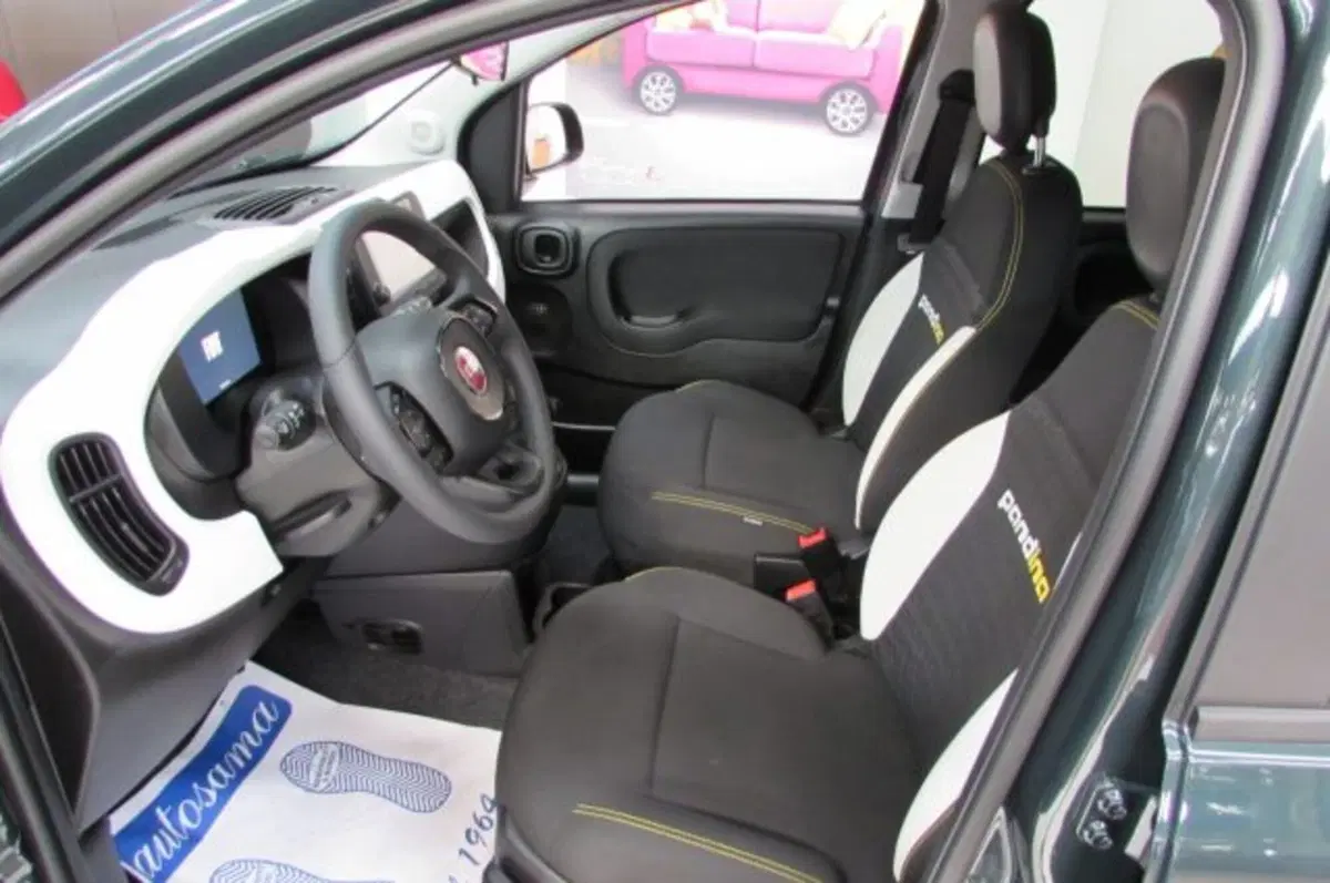 Fiat Panda Cross usata a Milano (7)