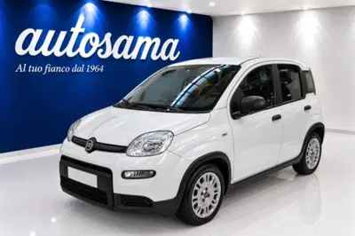 Fiat Panda 1.0 firefly hybrid s&s 70cv 5p.ti del 2023 usata a Rho