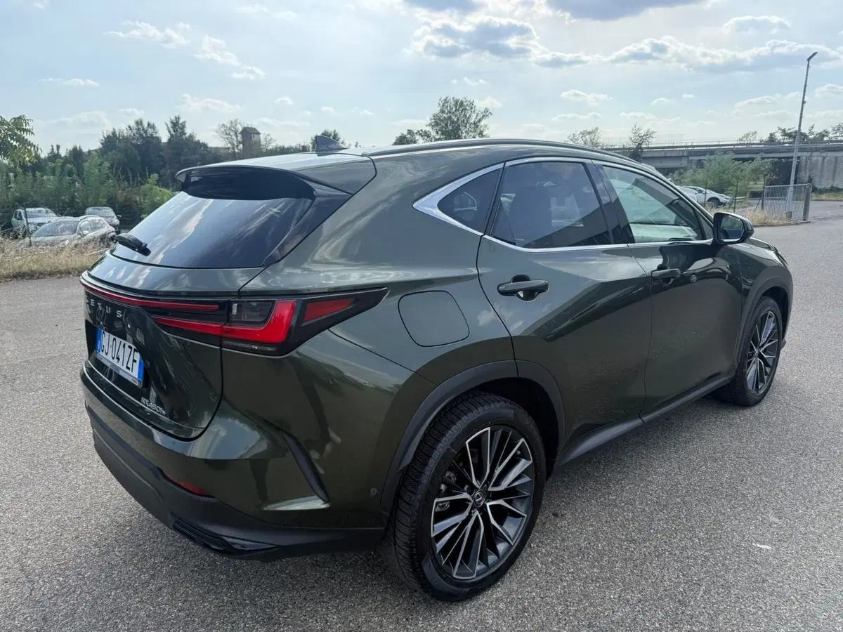Lexus NX usata a Piacenza (2)