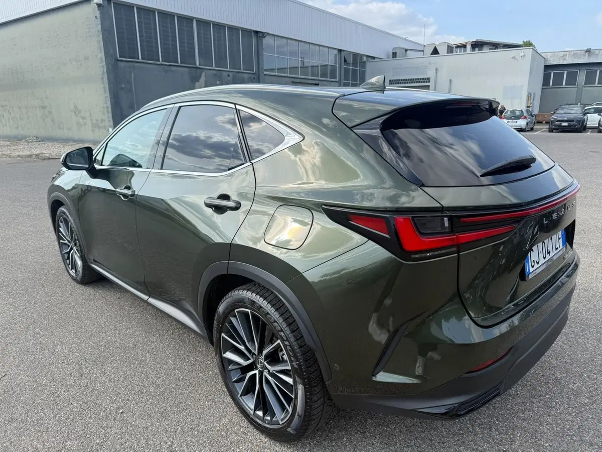 Lexus NX usata a Piacenza (3)